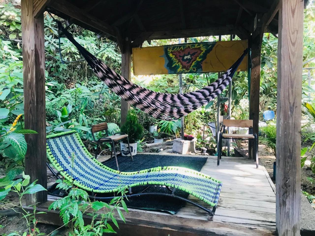 Hostal Las Mariposas Minca Buitenkant foto