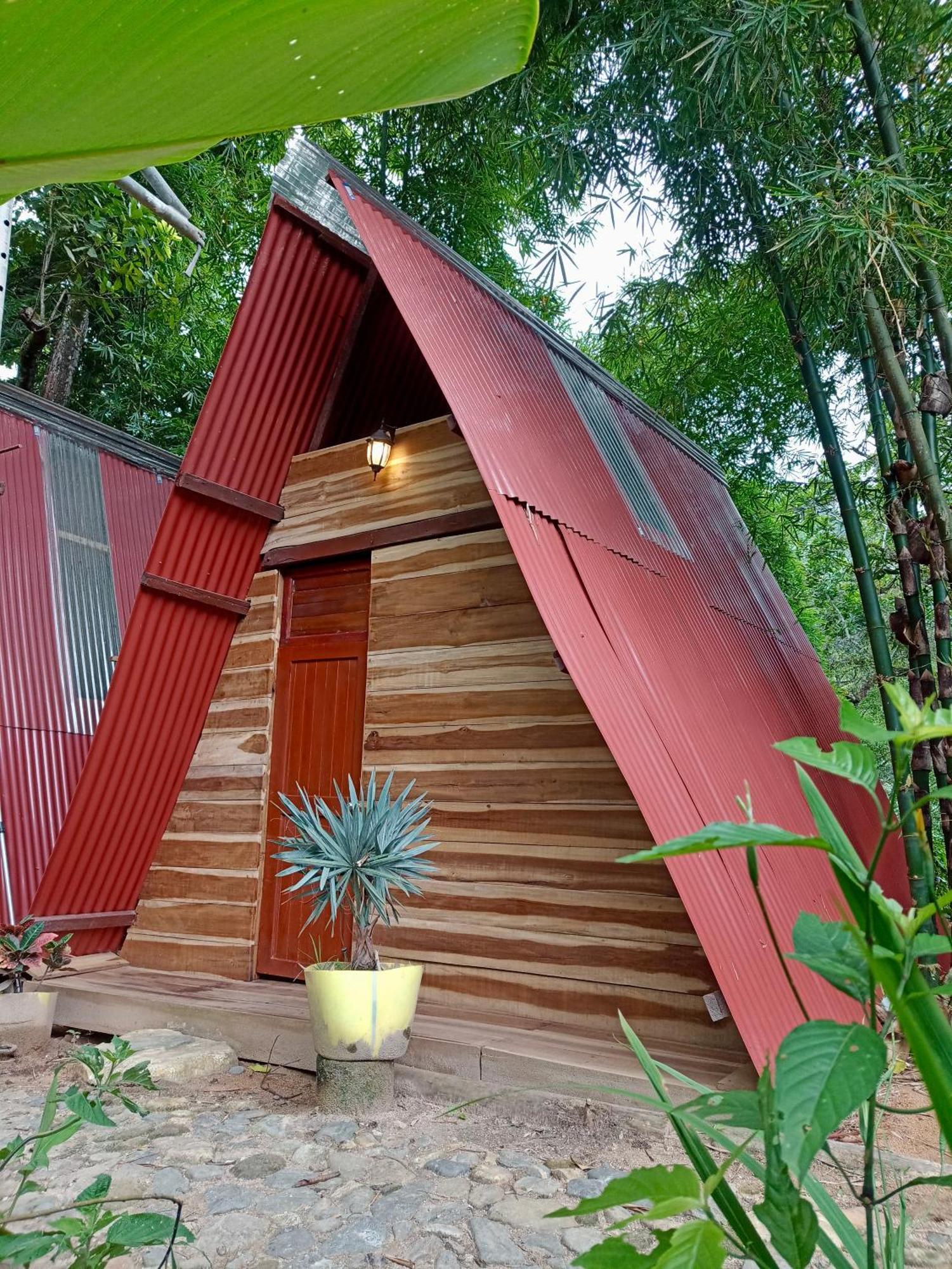 Hostal Las Mariposas Minca Buitenkant foto