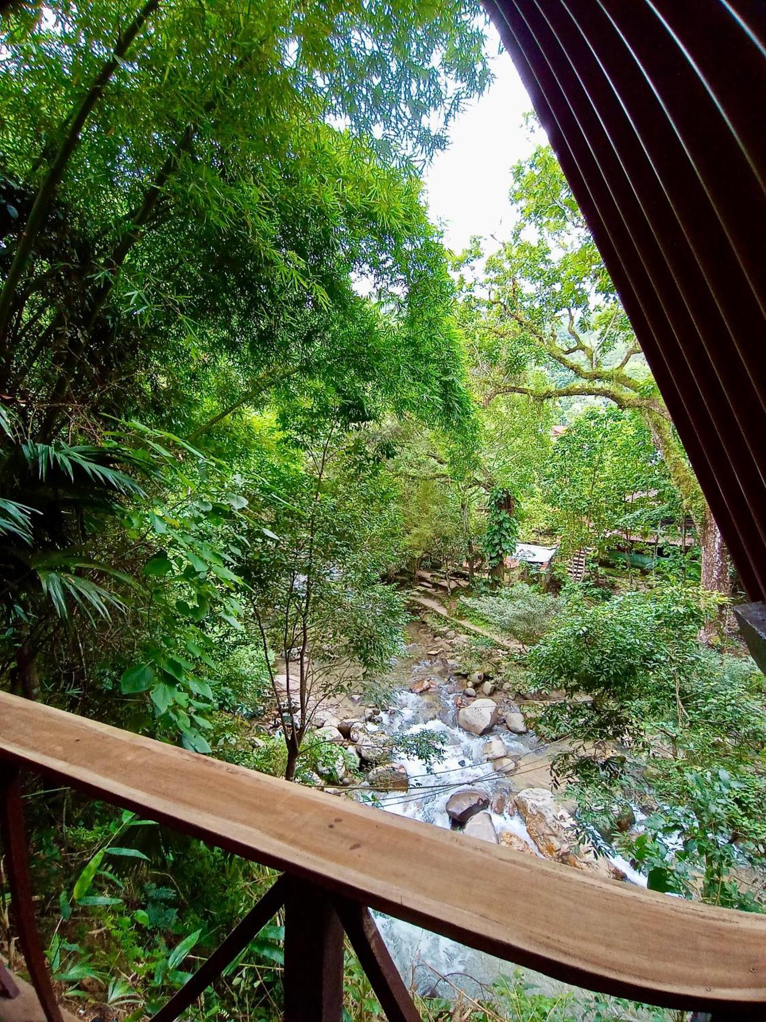 Hostal Las Mariposas Minca Buitenkant foto