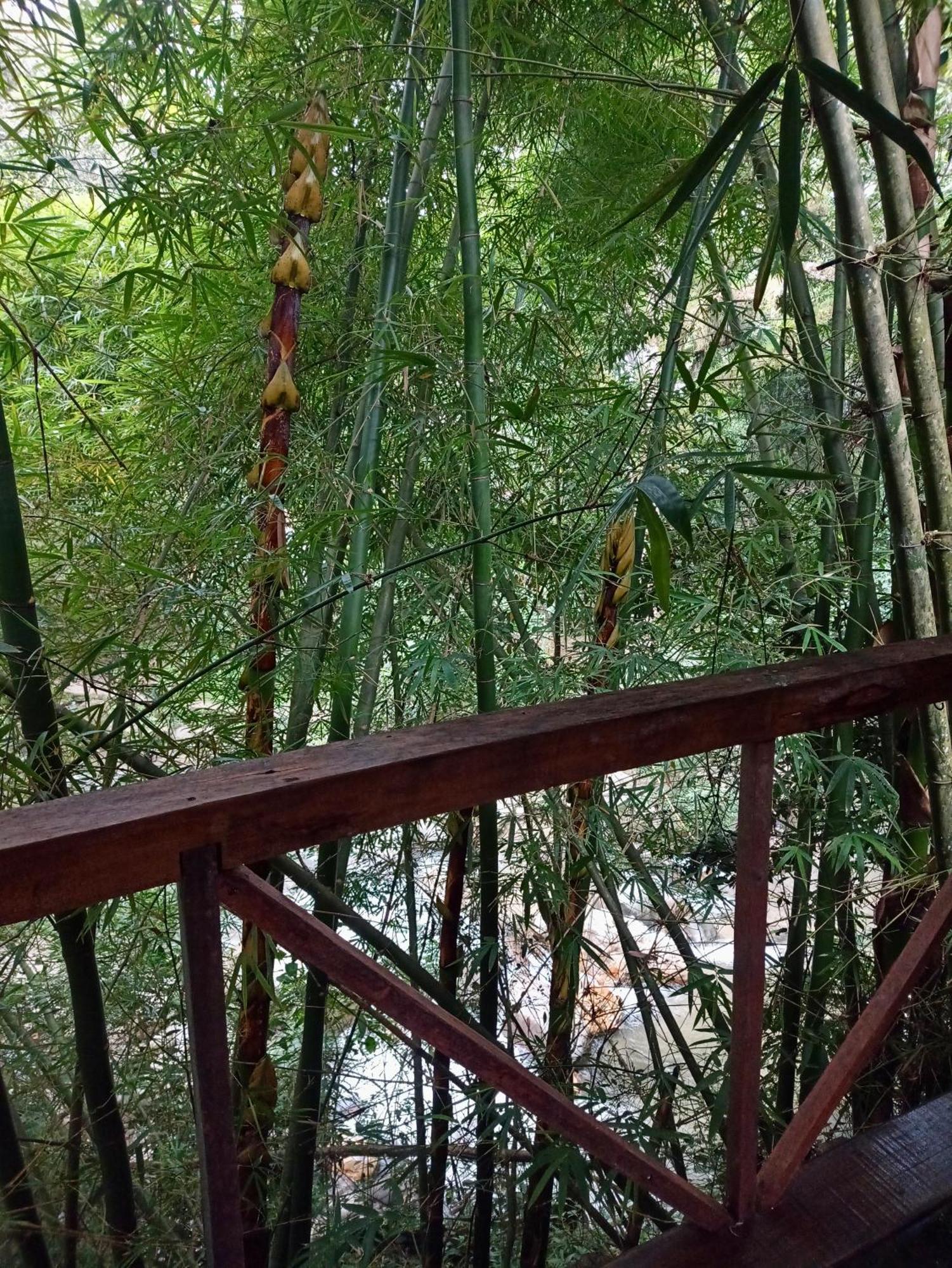 Hostal Las Mariposas Minca Buitenkant foto