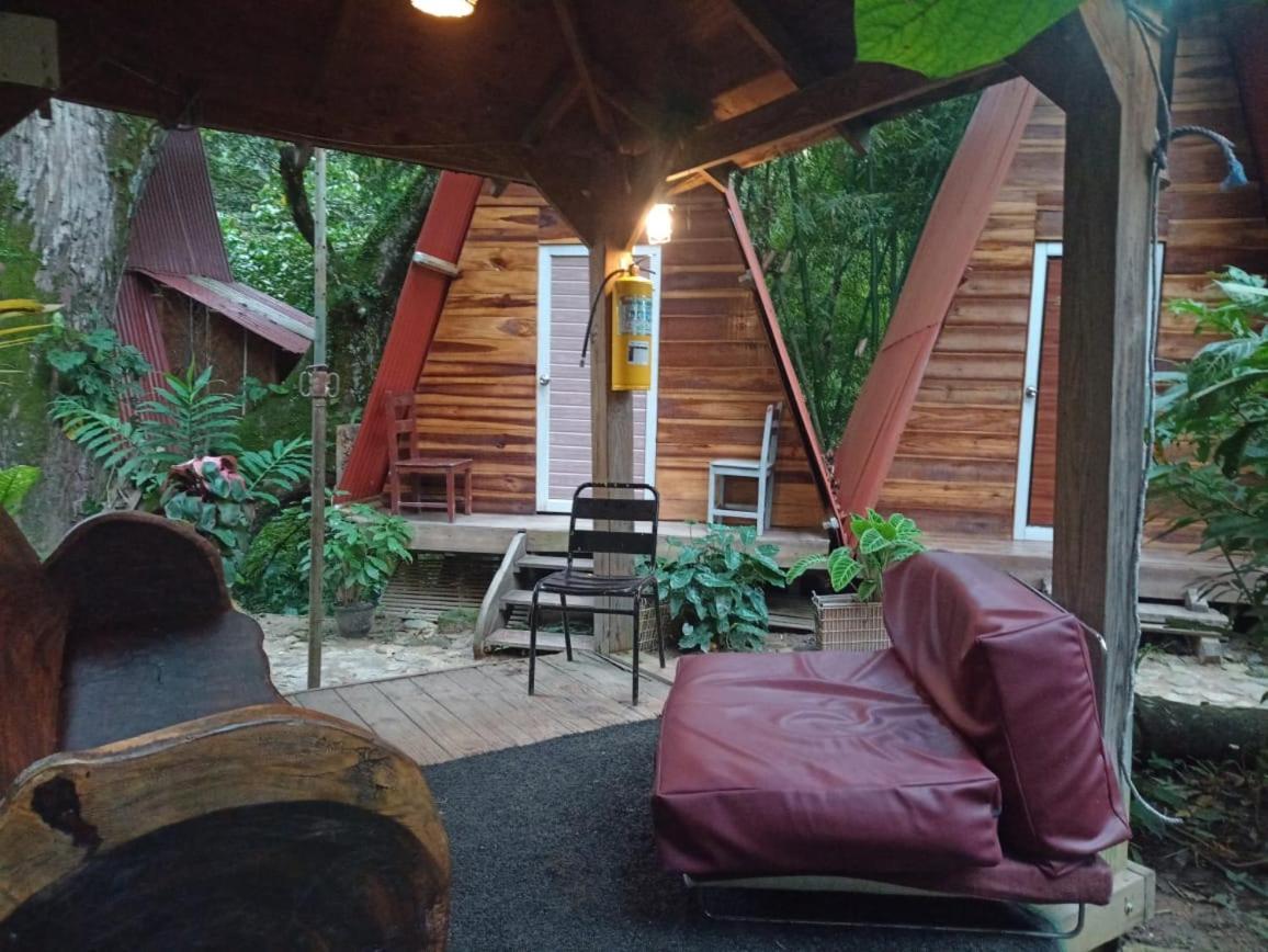 Hostal Las Mariposas Minca Buitenkant foto