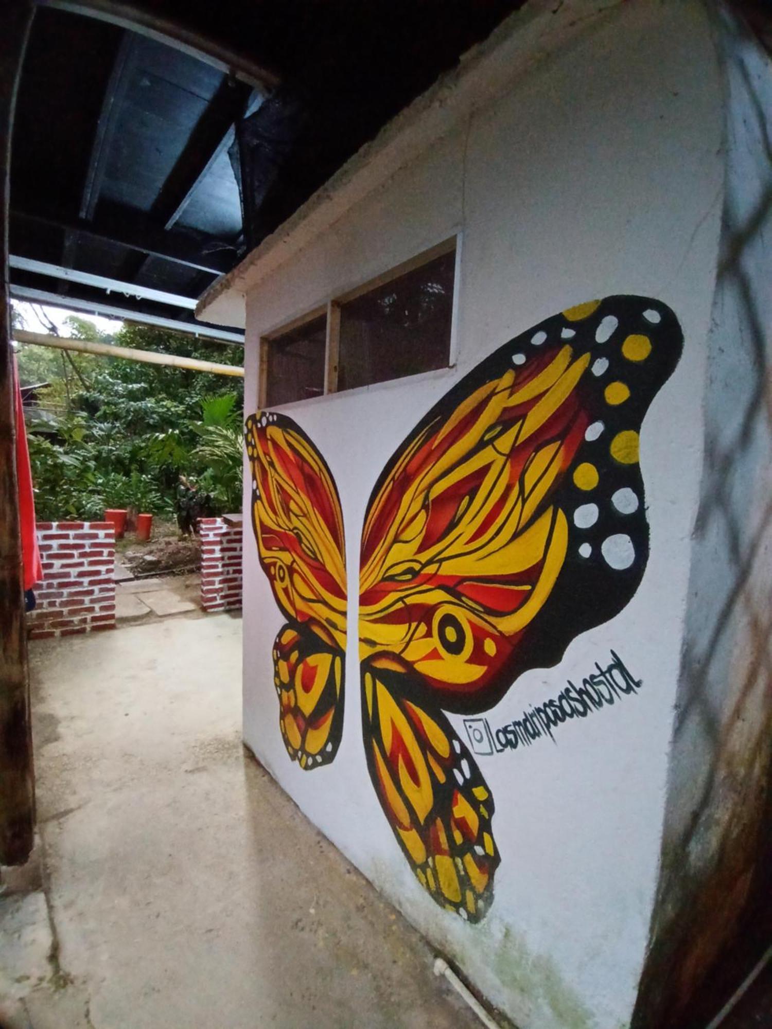 Hostal Las Mariposas Minca Buitenkant foto