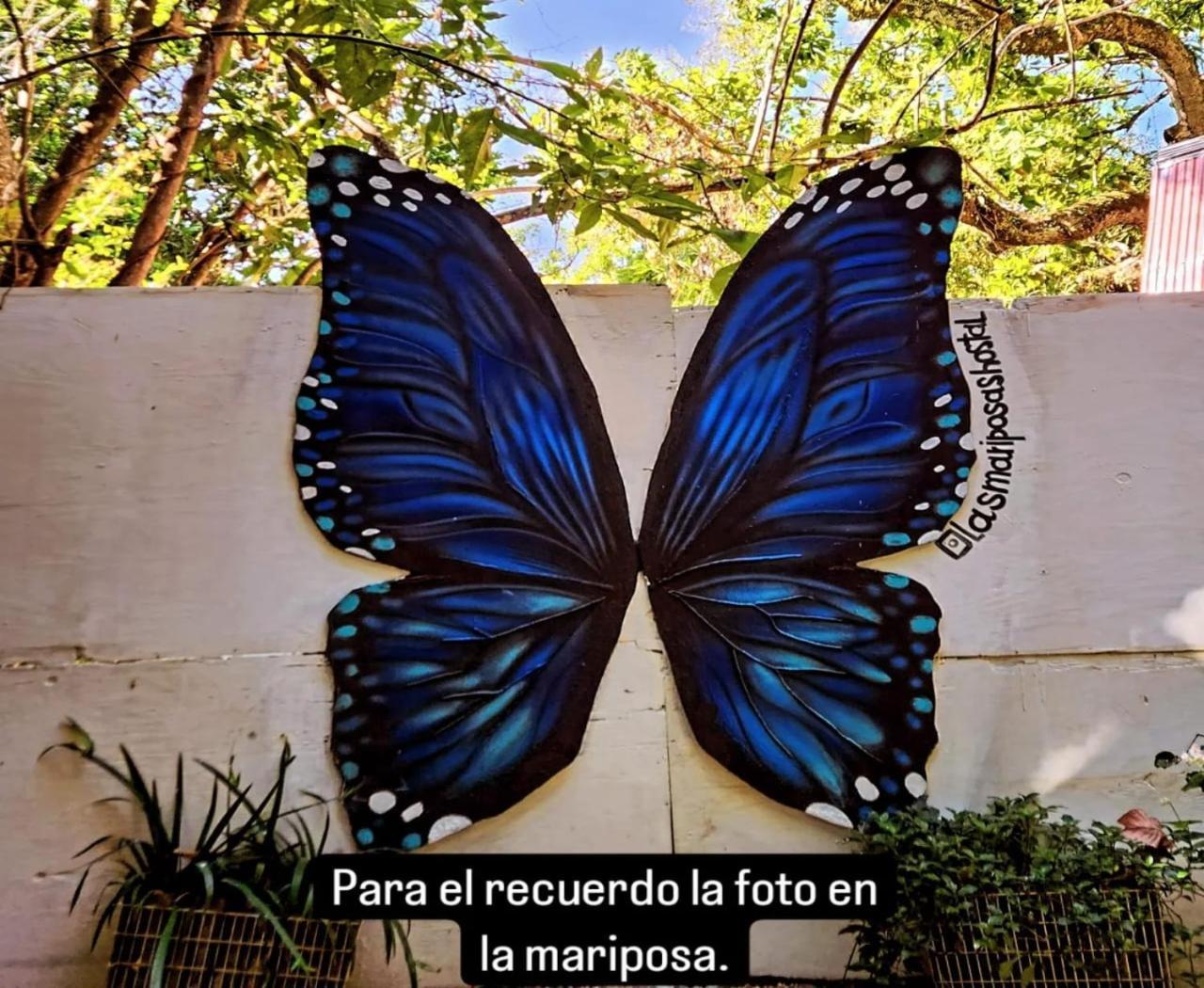 Hostal Las Mariposas Minca Buitenkant foto