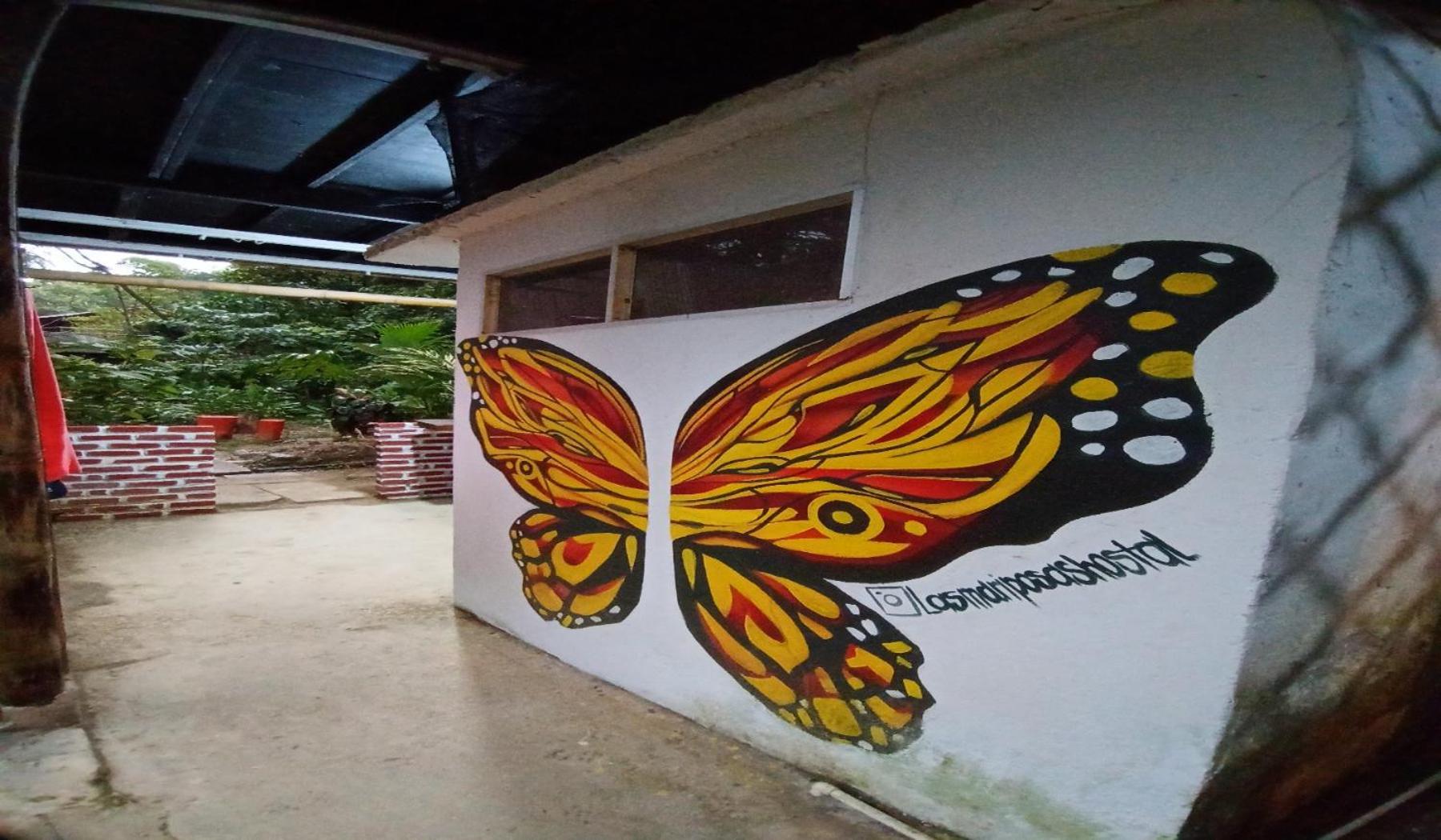 Hostal Las Mariposas Minca Buitenkant foto